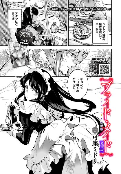 ブライド・メイド 番外編  エロ画像4065